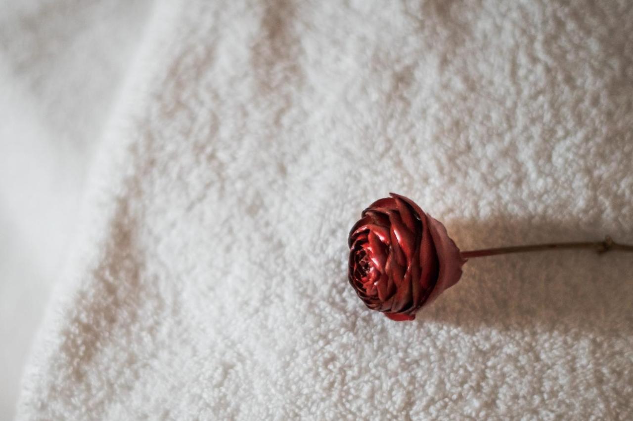 Dimora Delle Muse Bed & Breakfast Montalcino Ngoại thất bức ảnh